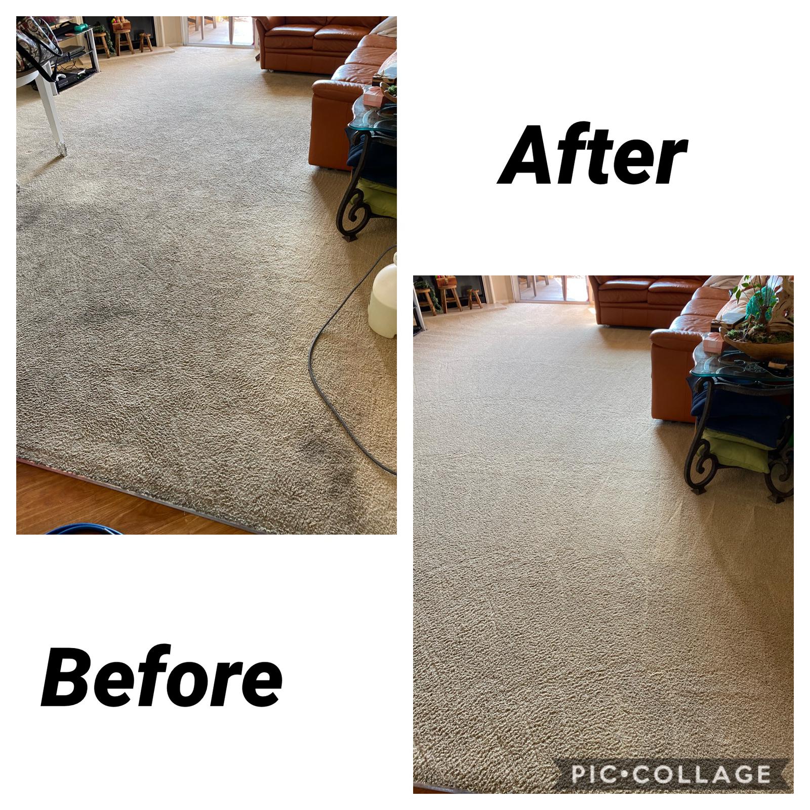 pet stain removal carpet cleaning irvine