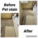 pet stain removal carpet cleaning in irvine
